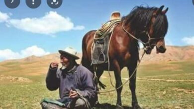 Photo of Толгойн өвчнийг анагаах монголын эртний домын арга хадгалаад ав